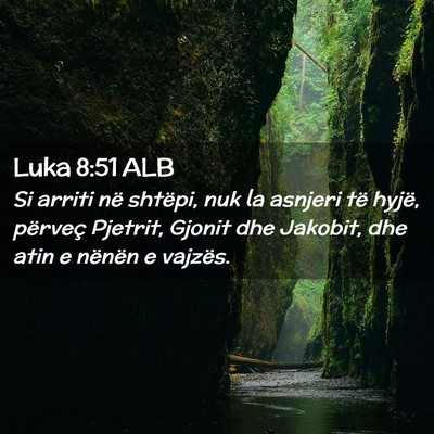 Picture 02 - Luka 8:51 ALB - Si arriti në shtëpi, nuk la asnjeri të hyjë, - Bible Verse Picture