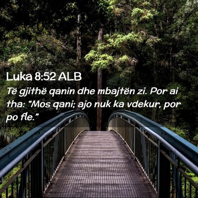 Picture 02 - Luka 8:52 ALB - Të gjithë qanin dhe mbajtën zi. Por ai tha: - Bible Verse Picture