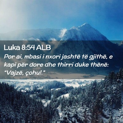 Picture 02 - Luka 8:54 ALB - Por ai, mbasi i nxori jashtë të gjithë, e kapi - Bible Verse Picture