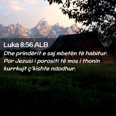 Picture 02 - Luka 8:56 ALB - Dhe prindërit e saj mbetën të habitur. Por - Bible Verse Picture