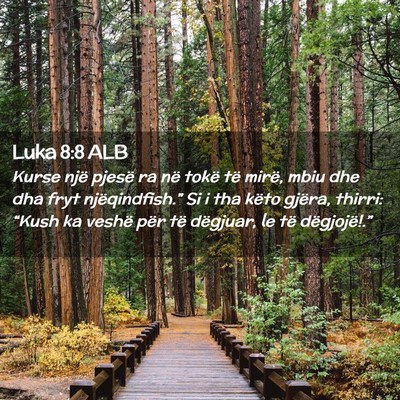 Picture 02 - Luka 8:8 ALB - Kurse një pjesë ra në tokë të mirë, mbiu - Bible Verse Picture