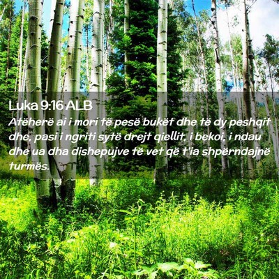 Picture 02 - Luka 9:16 ALB - Atëherë ai i mori të pesë bukët dhe të dy - Bible Verse Picture