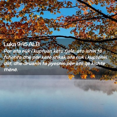 Picture 02 - Luka 9:45 ALB - Por ata nuk i kuptuan këto fjalë; ato ishin të - Bible Verse Picture