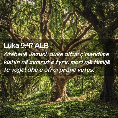 Picture 02 - Luka 9:47 ALB - Atëherë Jezusi, duke ditur ç’mendime kishin - Bible Verse Picture
