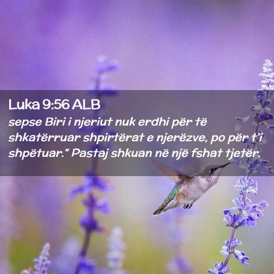 Picture 02 - Luka 9:56 ALB - sepse Biri i njeriut nuk erdhi për të - Bible Verse Picture