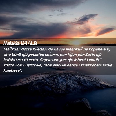 Picture 02 - Malakia 1:14 ALB - Mallkuar qoftë hileqari që ka një mashkull në - Bible Verse Picture