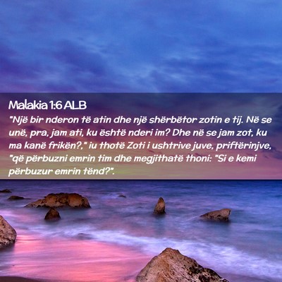 Picture 02 - Malakia 1:6 ALB - 