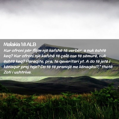 Picture 02 - Malakia 1:8 ALB - Kur ofroni për flijim një kafshë të verbër, - Bible Verse Picture
