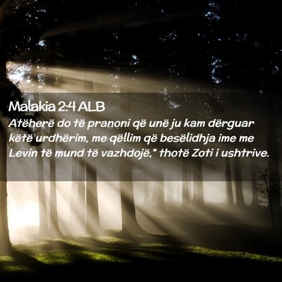 Picture 02 - Malakia 2:4 ALB - Atëherë do të pranoni që unë ju kam dërguar - Bible Verse Picture