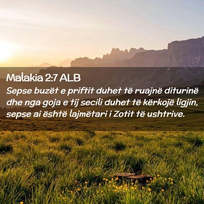 Picture 02 - Malakia 2:7 ALB - Sepse buzët e priftit duhet të ruajnë - Bible Verse Picture