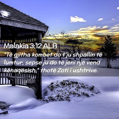 Picture 02 - Malakia 3:12 ALB - 