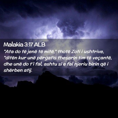 Picture 02 - Malakia 3:17 ALB - 