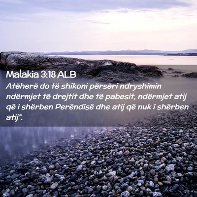 Picture 02 - Malakia 3:18 ALB - Atëherë do të shikoni përsëri ndryshimin - Bible Verse Picture