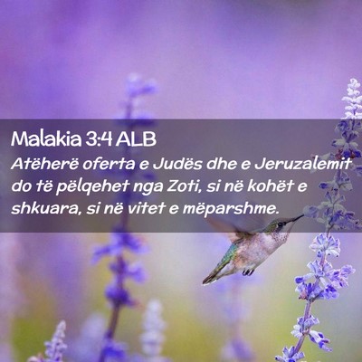 Picture 02 - Malakia 3:4 ALB - Atëherë oferta e Judës dhe e Jeruzalemit do - Bible Verse Picture