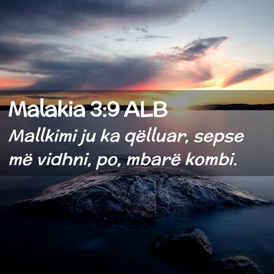 Picture 02 - Malakia 3:9 ALB - Mallkimi ju ka qëlluar, sepse më vidhni, po, - Bible Verse Picture