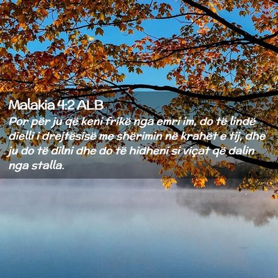 Picture 02 - Malakia 4:2 ALB - Por për ju që keni frikë nga emri im, do të - Bible Verse Picture