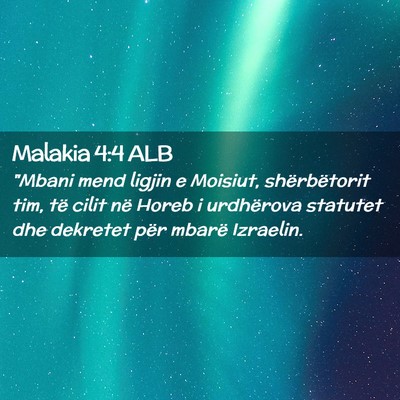 Picture 02 - Malakia 4:4 ALB - 