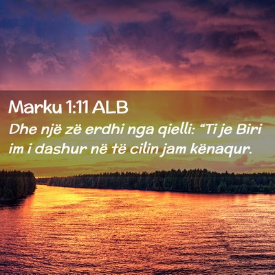 Picture 02 - Marku 1:11 ALB - Dhe një zë erdhi nga qielli: “Ti je Biri im i - Bible Verse Picture