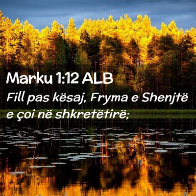 Picture 02 - Marku 1:12 ALB - Fill pas kësaj, Fryma e Shenjtë e çoi në - Bible Verse Picture