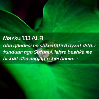 Picture 02 - Marku 1:13 ALB - dhe qëndroi në shkretëtirë dyzet ditë, i - Bible Verse Picture