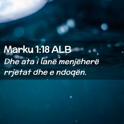 Picture 02 - Marku 1:18 ALB - Dhe ata i lanë menjëherë rrjetat dhe e - Bible Verse Picture