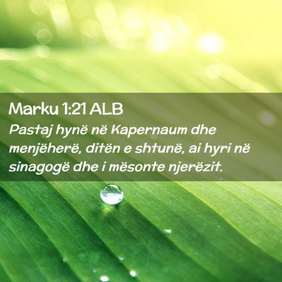 Picture 02 - Marku 1:21 ALB - Pastaj hynë në Kapernaum dhe menjëherë, - Bible Verse Picture
