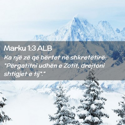 Picture 02 - Marku 1:3 ALB - Ka një zë që bërtet në shkretëtirë: - Bible Verse Picture