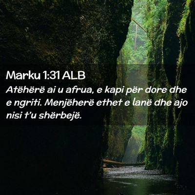 Picture 02 - Marku 1:31 ALB - Atëhërë ai u afrua, e kapi për dore dhe e - Bible Verse Picture