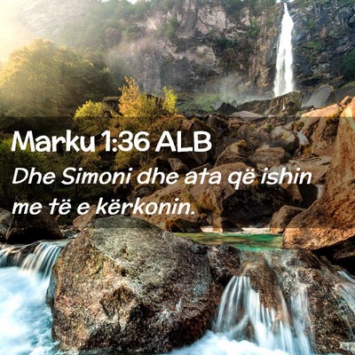 Picture 02 - Marku 1:36 ALB - Dhe Simoni dhe ata që ishin me të e - Bible Verse Picture