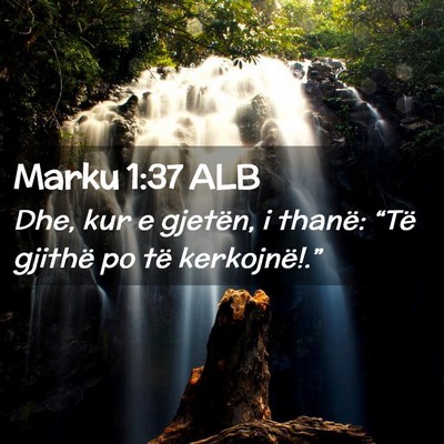 Picture 02 - Marku 1:37 ALB - Dhe, kur e gjetën, i thanë: “Të gjithë po - Bible Verse Picture