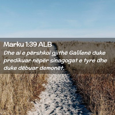 Picture 02 - Marku 1:39 ALB - Dhe ai e përshkoi gjithë Galilenë duke - Bible Verse Picture