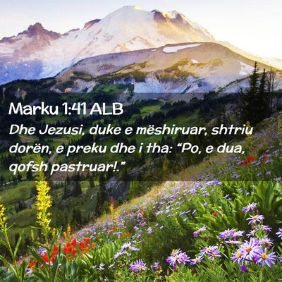Picture 02 - Marku 1:41 ALB - Dhe Jezusi, duke e mëshiruar, shtriu dorën, e - Bible Verse Picture