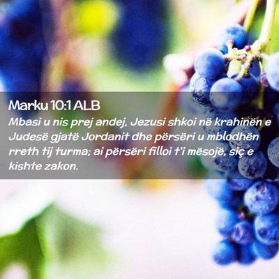 Picture 02 - Marku 10:1 ALB - Mbasi u nis prej andej, Jezusi shkoi në - Bible Verse Picture
