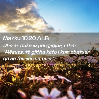Picture 02 - Marku 10:20 ALB - Dhe ai, duke iu përgjigjur, i tha: “Mësues, - Bible Verse Picture