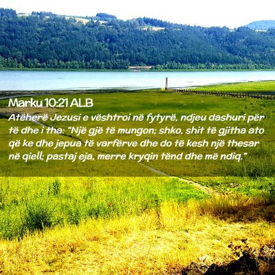 Picture 02 - Marku 10:21 ALB - Atëherë Jezusi e vështroi në fytyrë, ndjeu - Bible Verse Picture