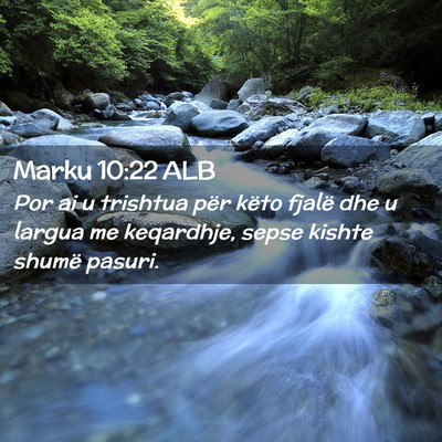 Picture 02 - Marku 10:22 ALB - Por ai u trishtua për këto fjalë dhe u largua - Bible Verse Picture