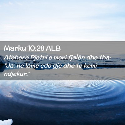 Picture 02 - Marku 10:28 ALB - Atëherë Pjetri e mori fjalën dhe tha: “Ja, - Bible Verse Picture