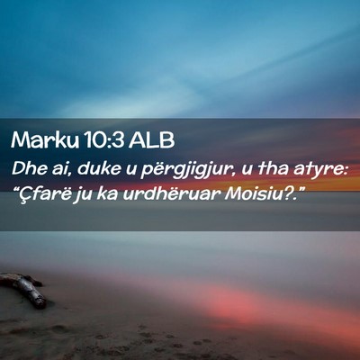 Picture 02 - Marku 10:3 ALB - Dhe ai, duke u përgjigjur, u tha atyre: - Bible Verse Picture