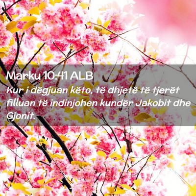 Picture 02 - Marku 10:41 ALB - Kur i dëgjuan këto, të dhjetë të tjerët - Bible Verse Picture