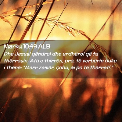 Picture 02 - Marku 10:49 ALB - Dhe Jezusi qëndroi dhe urdhëroi që ta - Bible Verse Picture