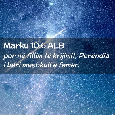 Picture 02 - Marku 10:6 ALB - por në fillim të krijimit, Perëndia i bëri - Bible Verse Picture