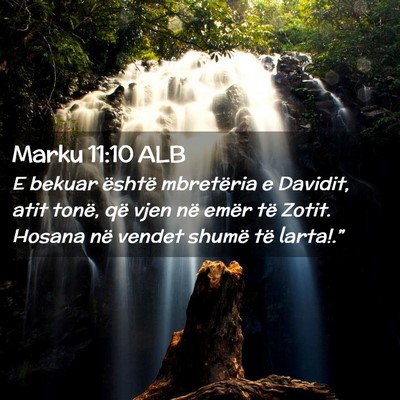 Picture 02 - Marku 11:10 ALB - E bekuar është mbretëria e Davidit, atit - Bible Verse Picture
