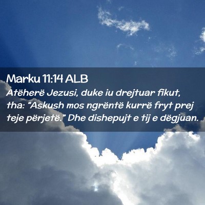 Picture 02 - Marku 11:14 ALB - Atëherë Jezusi, duke iu drejtuar fikut, tha: - Bible Verse Picture