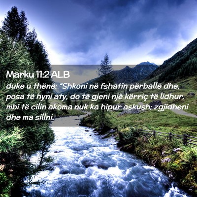 Picture 02 - Marku 11:2 ALB - duke u thënë: “Shkoni në fshatin përballë - Bible Verse Picture