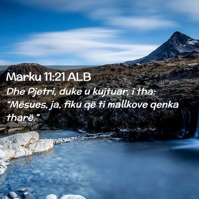 Picture 02 - Marku 11:21 ALB - Dhe Pjetri, duke u kujtuar, i tha: “Mësues, - Bible Verse Picture