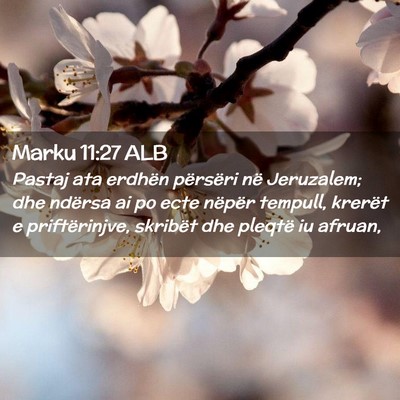 Picture 02 - Marku 11:27 ALB - Pastaj ata erdhën përsëri në Jeruzalem; dhe - Bible Verse Picture