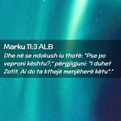 Picture 02 - Marku 11:3 ALB - Dhe në se ndokush iu thotë: 