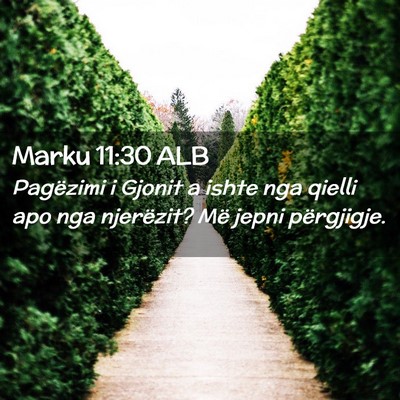Picture 02 - Marku 11:30 ALB - Pagëzimi i Gjonit a ishte nga qielli apo nga - Bible Verse Picture