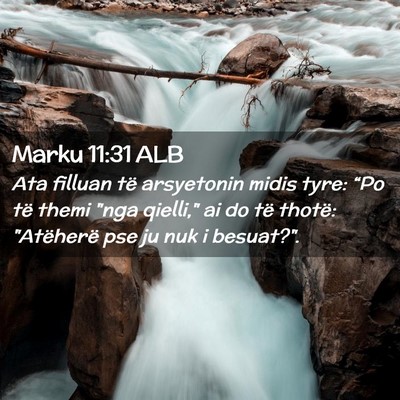 Picture 02 - Marku 11:31 ALB - Ata filluan të arsyetonin midis tyre: “Po të - Bible Verse Picture