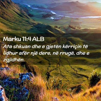 Picture 02 - Marku 11:4 ALB - Ata shkuan dhe e gjetën kërriçin të lidhur - Bible Verse Picture